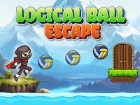 https://theperk.xyz//game/logical-ball-escape