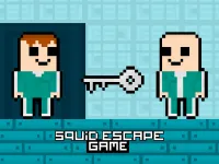 https://theperk.xyz//game/squid-escape-game-2player